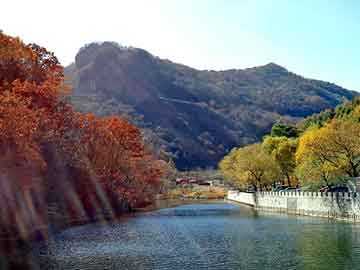 正版澳门天天开彩大全，蓄电池配件